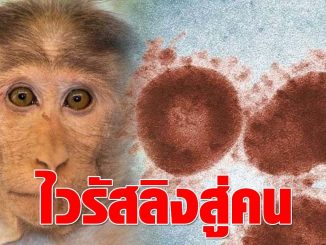 สัตวแพทย์ดับ หลังติดเชื้อไวรัส ลิงสู่คน เผย เคสแรกเกิดที่จีน