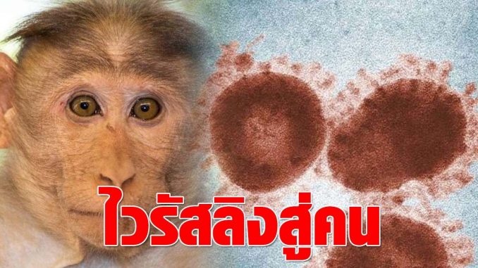 สัตวแพทย์ดับ หลังติดเชื้อไวรัส ลิงสู่คน เผย เคสแรกเกิดที่จีน